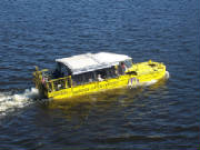 bostonducktours.jpg